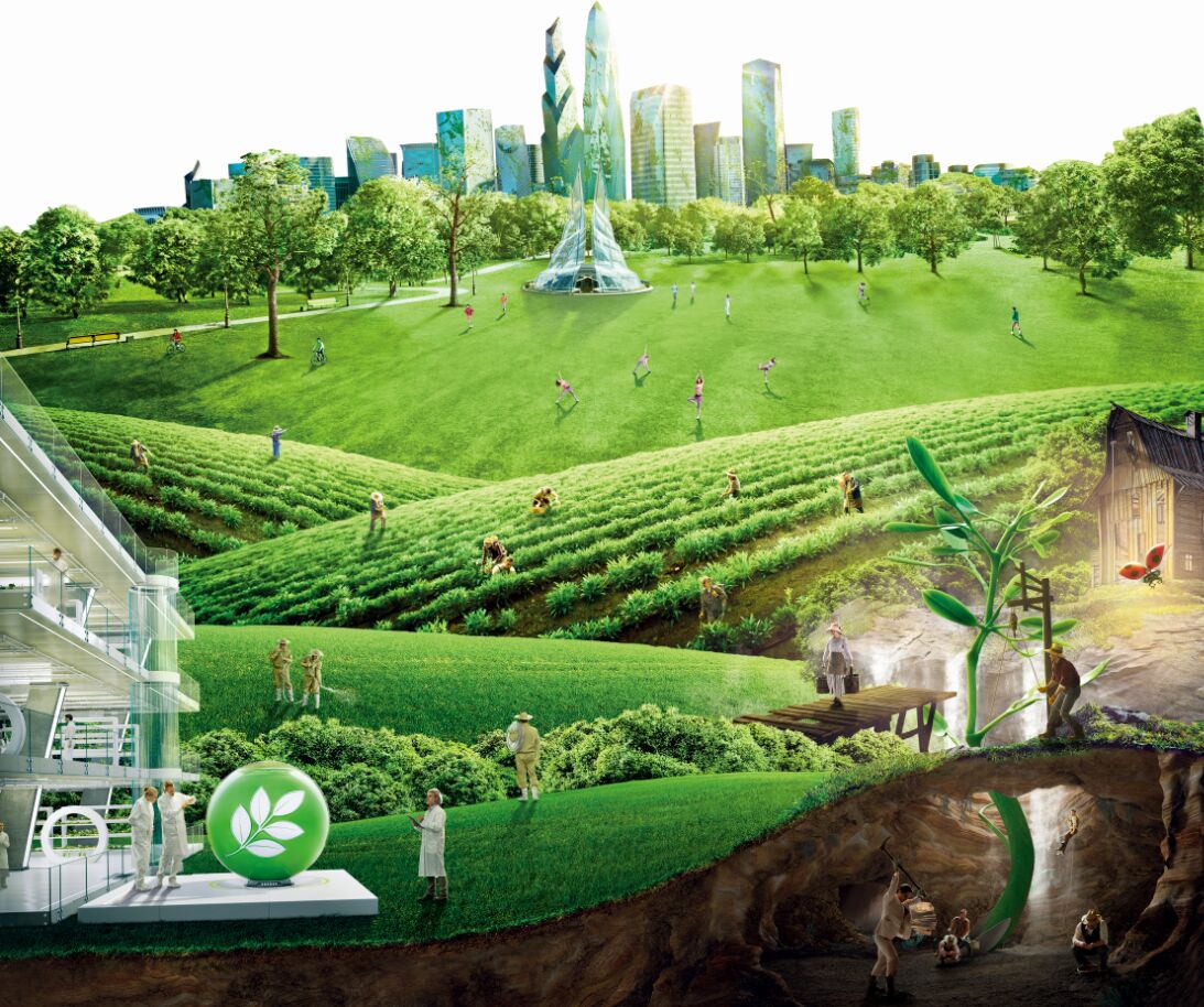 南宁邕宁区安利专卖店铺地址和电话是