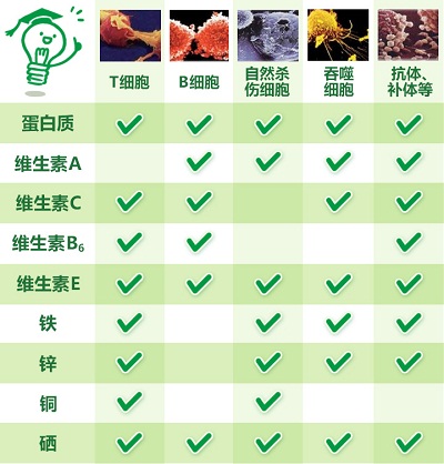 注意了,人体百分之九十以上的疾病与免疫系统失调有关