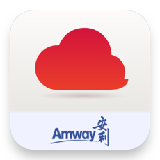 Amway, 安利