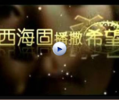 在西海固播撒希望