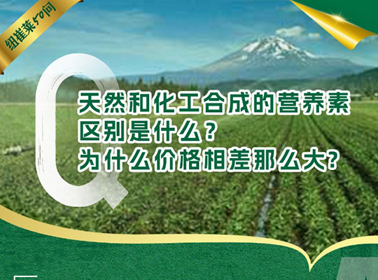 Amway, 安利