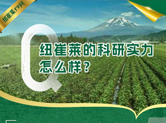 Amway, 安利