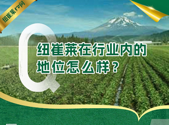 Amway, 安利