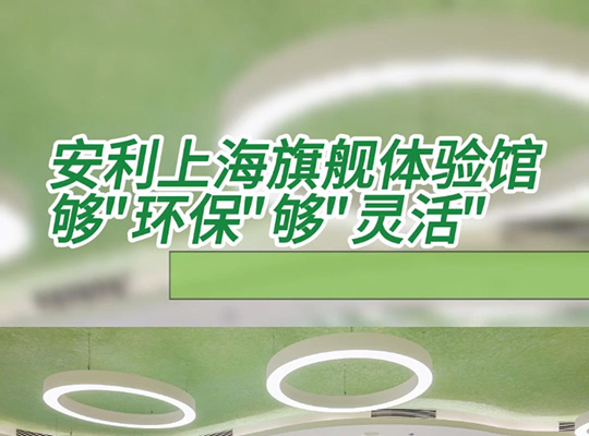 Amway, 安利