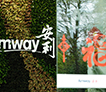 Amway, 安利