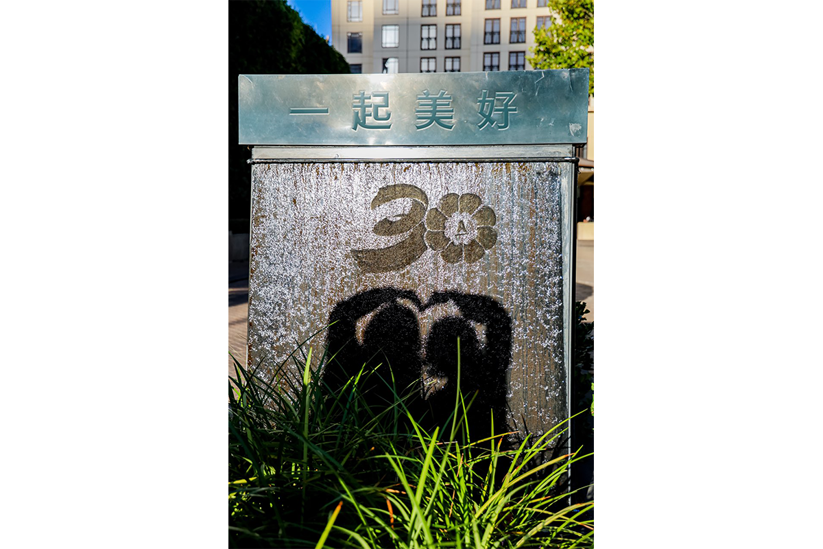 Amway, 安利