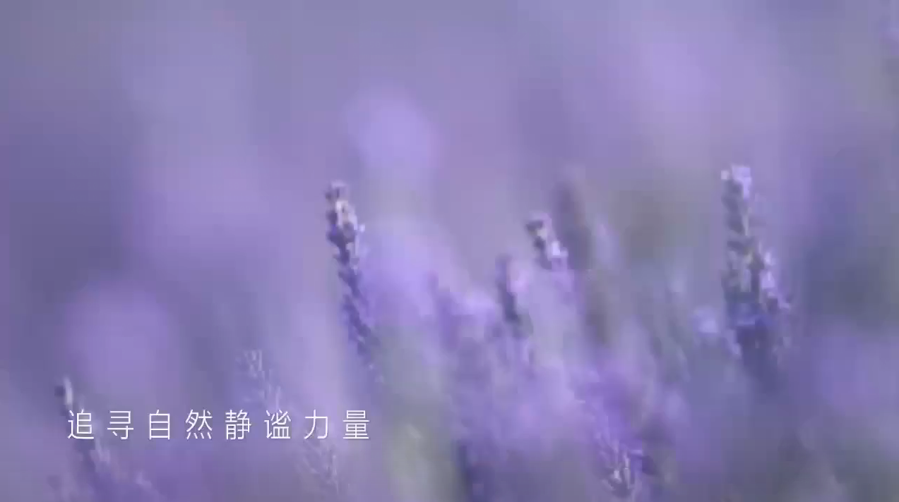 Amway, 安利