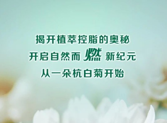 Amway, 安利