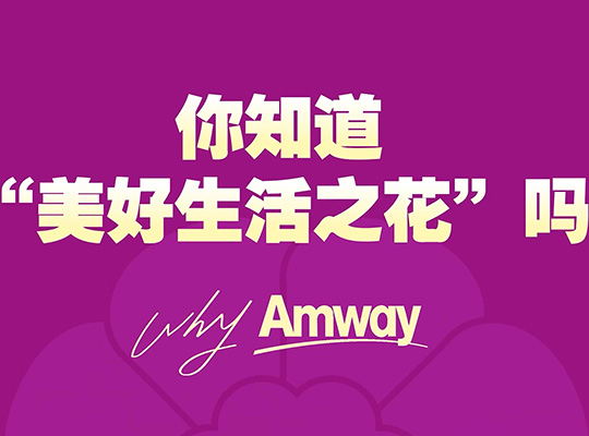 Amway, 安利