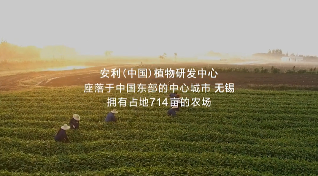 Amway, 安利