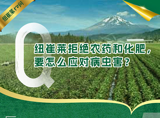 Amway, 安利