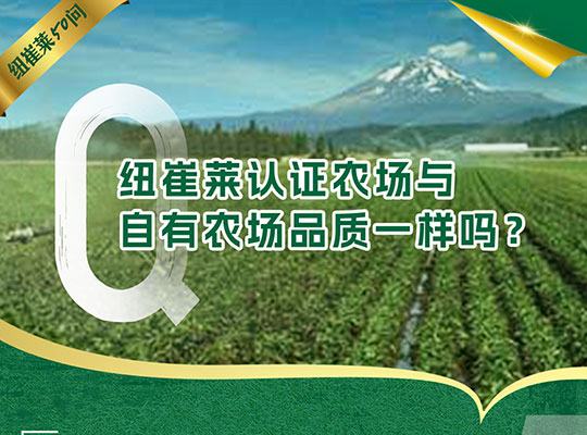 Amway, 安利
