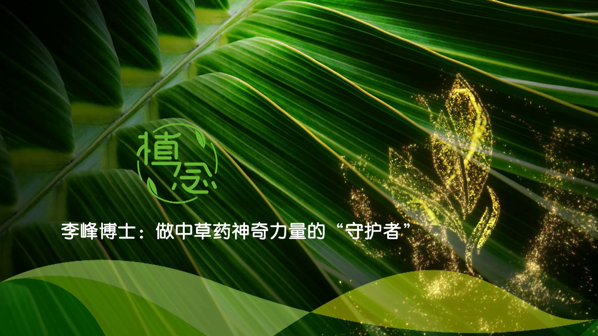 Amway, 安利