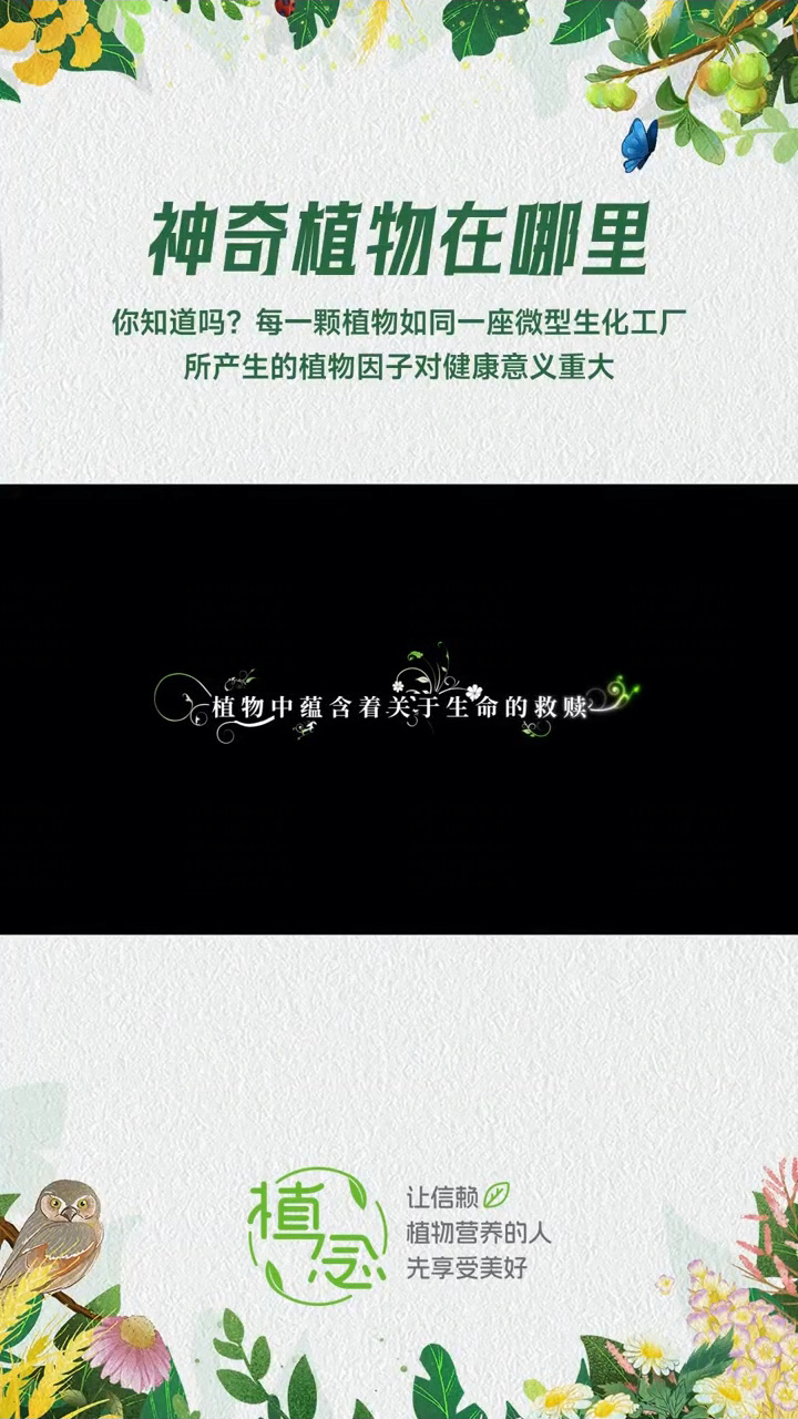 Amway, 安利