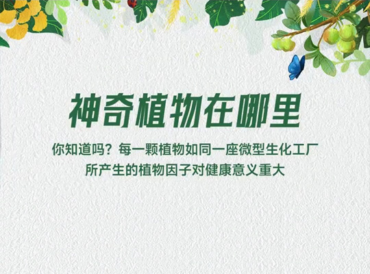 Amway, 安利