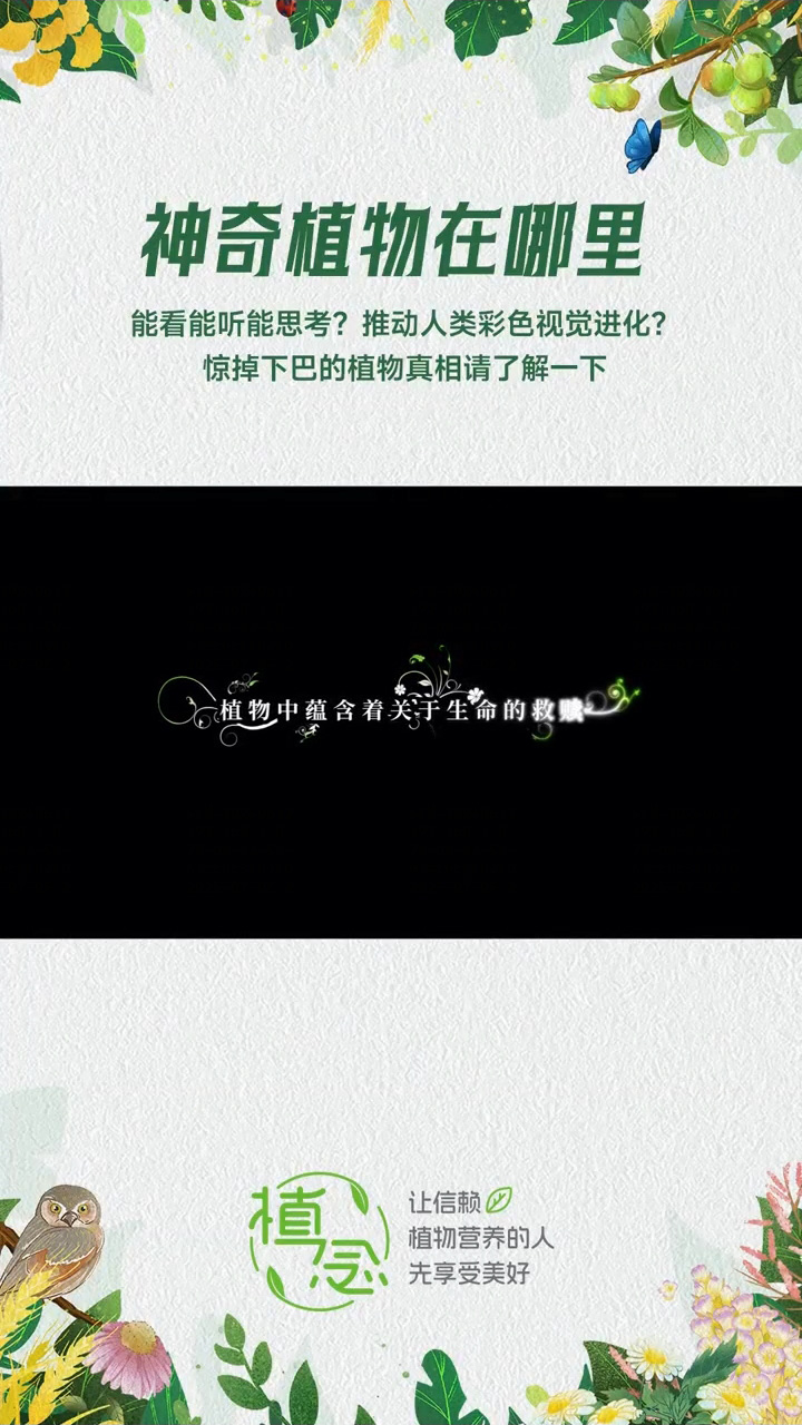Amway, 安利