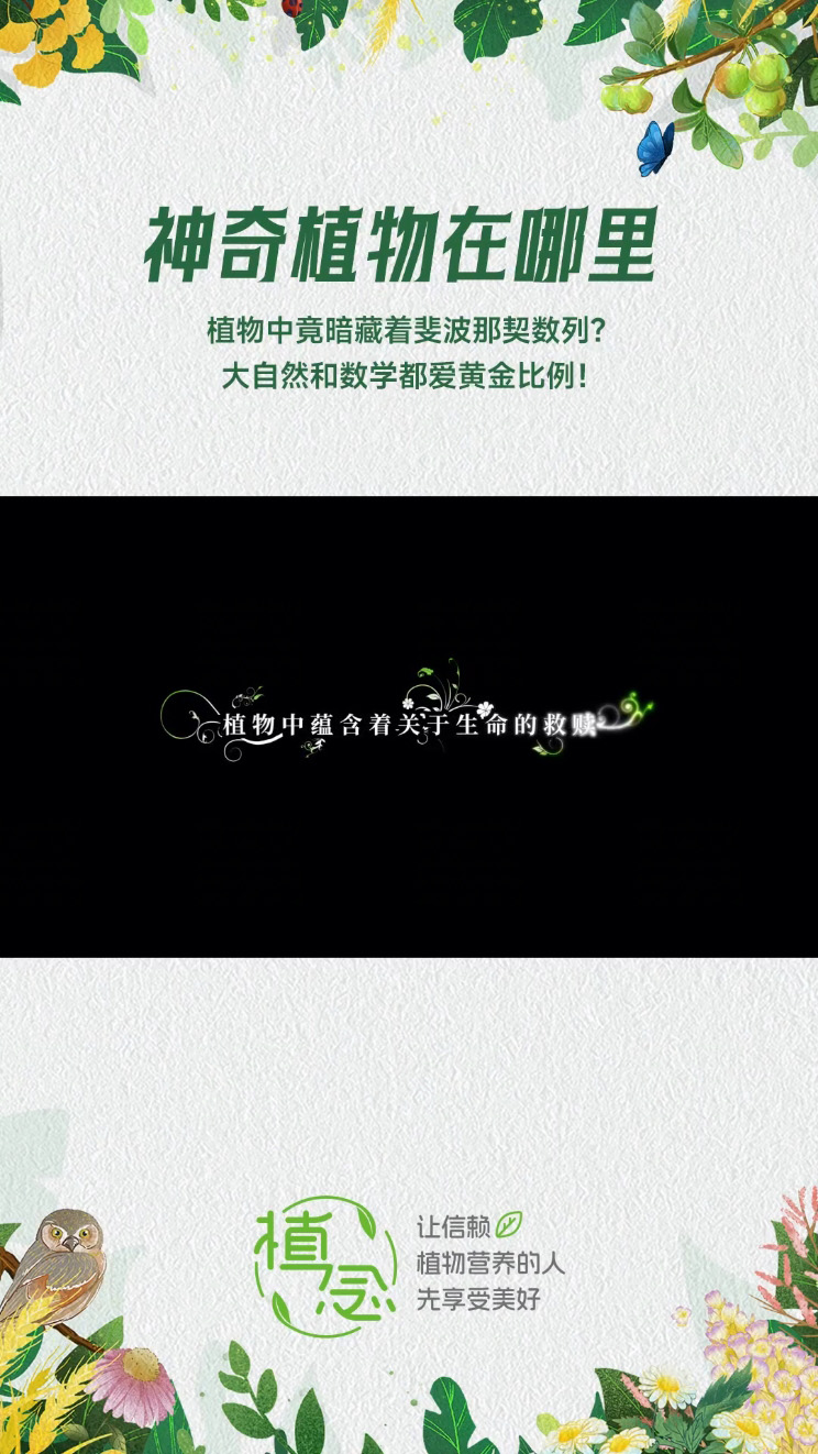 Amway, 安利