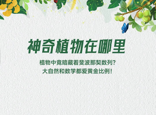 Amway, 安利