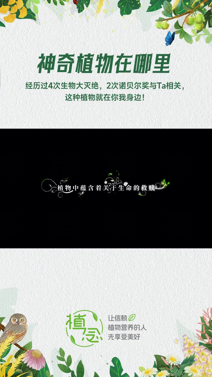 Amway, 安利