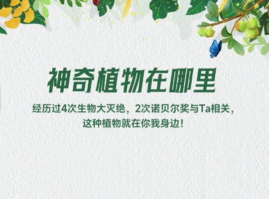 Amway, 安利