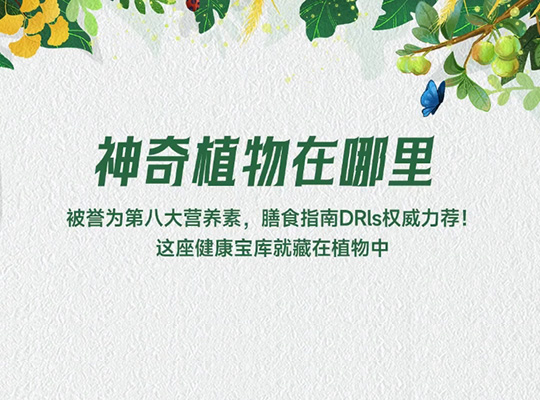 Amway, 安利