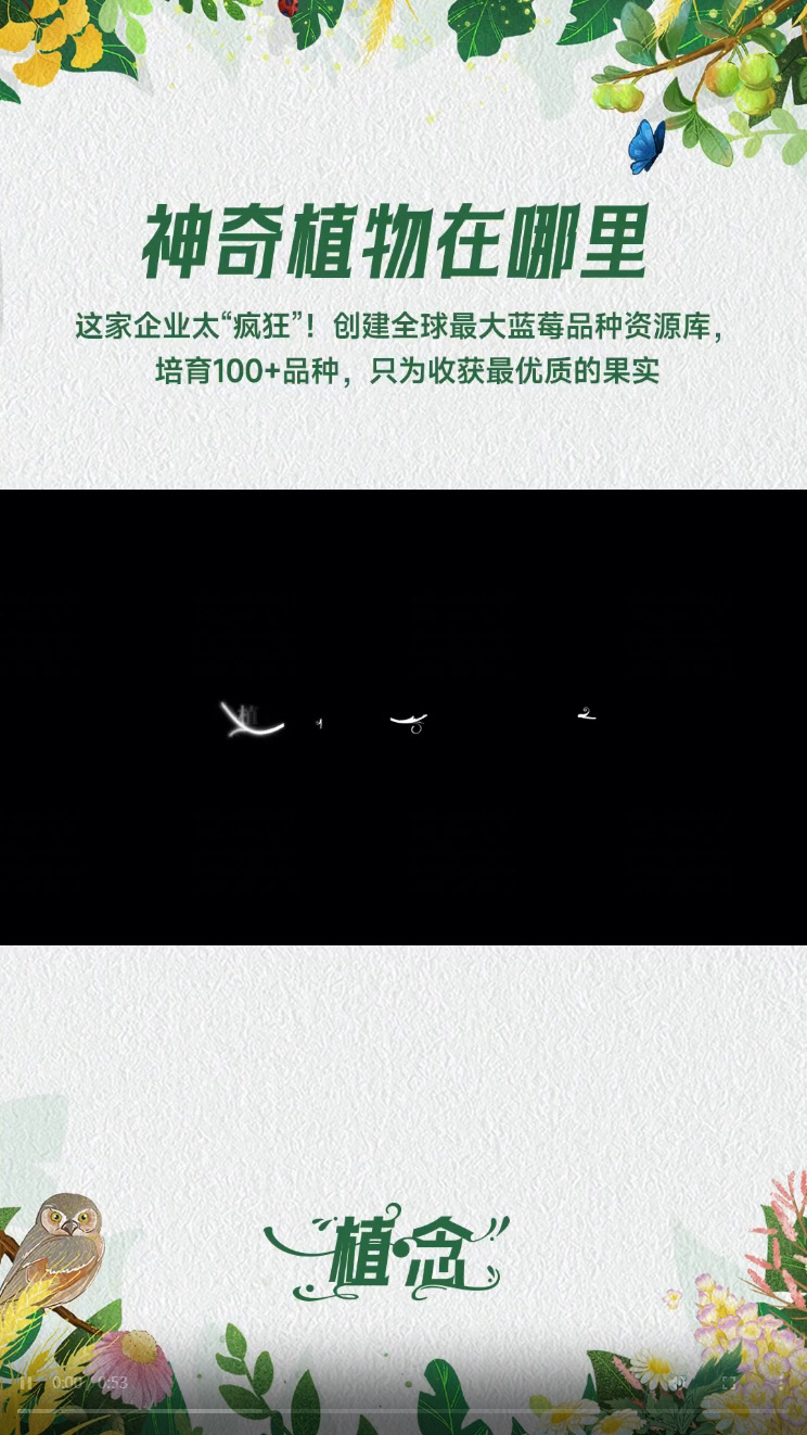 Amway, 安利