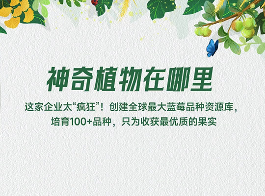 Amway, 安利