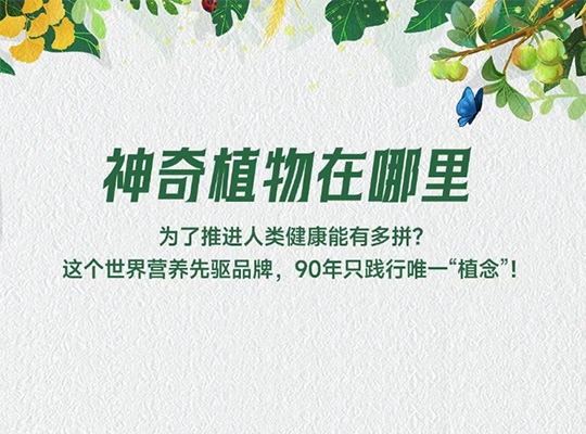 Amway, 安利