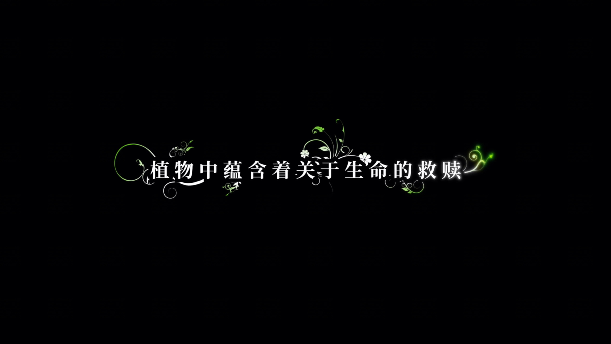 Amway, 安利