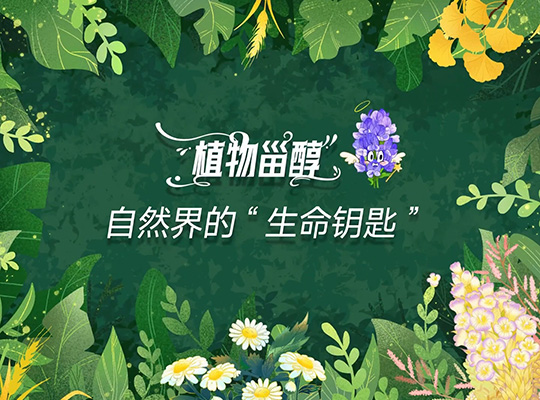 Amway, 安利