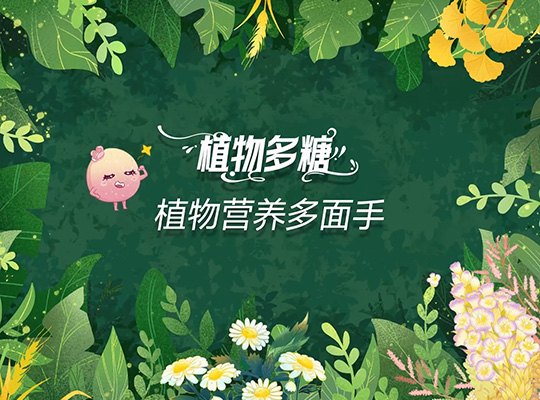 Amway, 安利