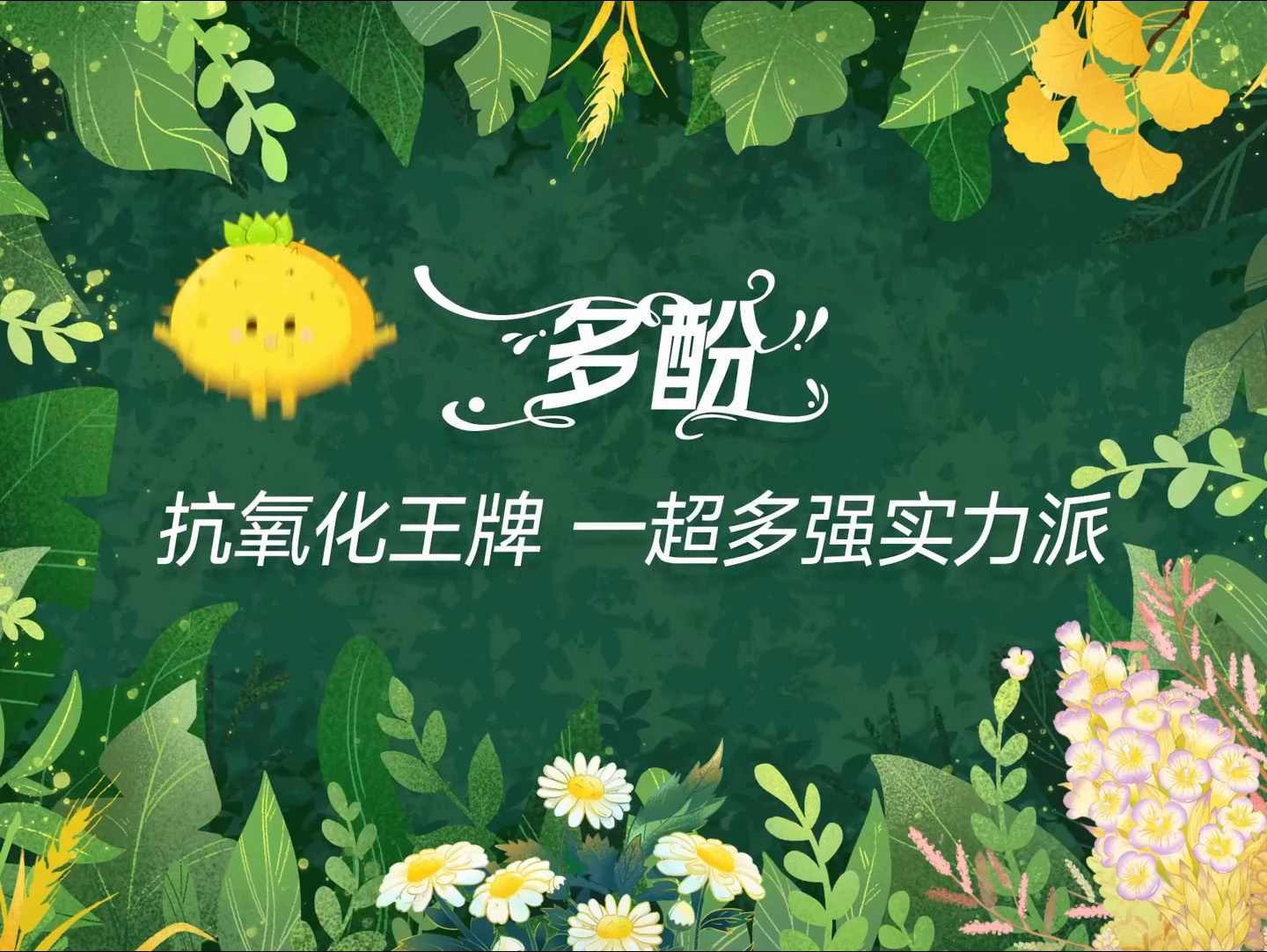 Amway, 安利