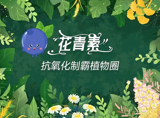 Amway, 安利