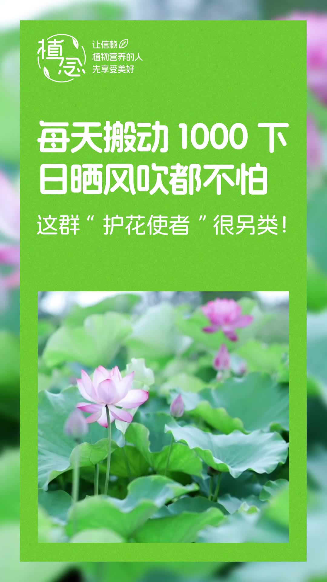 Amway, 安利