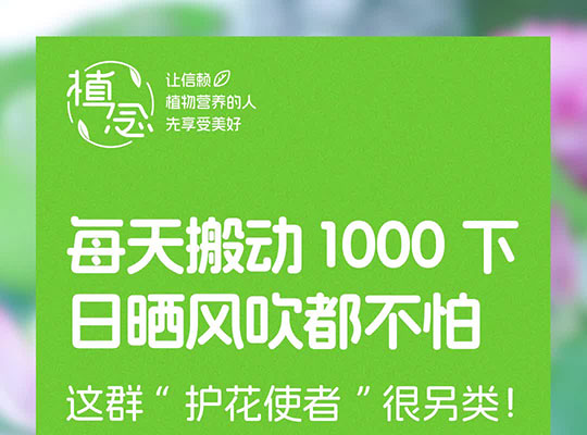 Amway, 安利