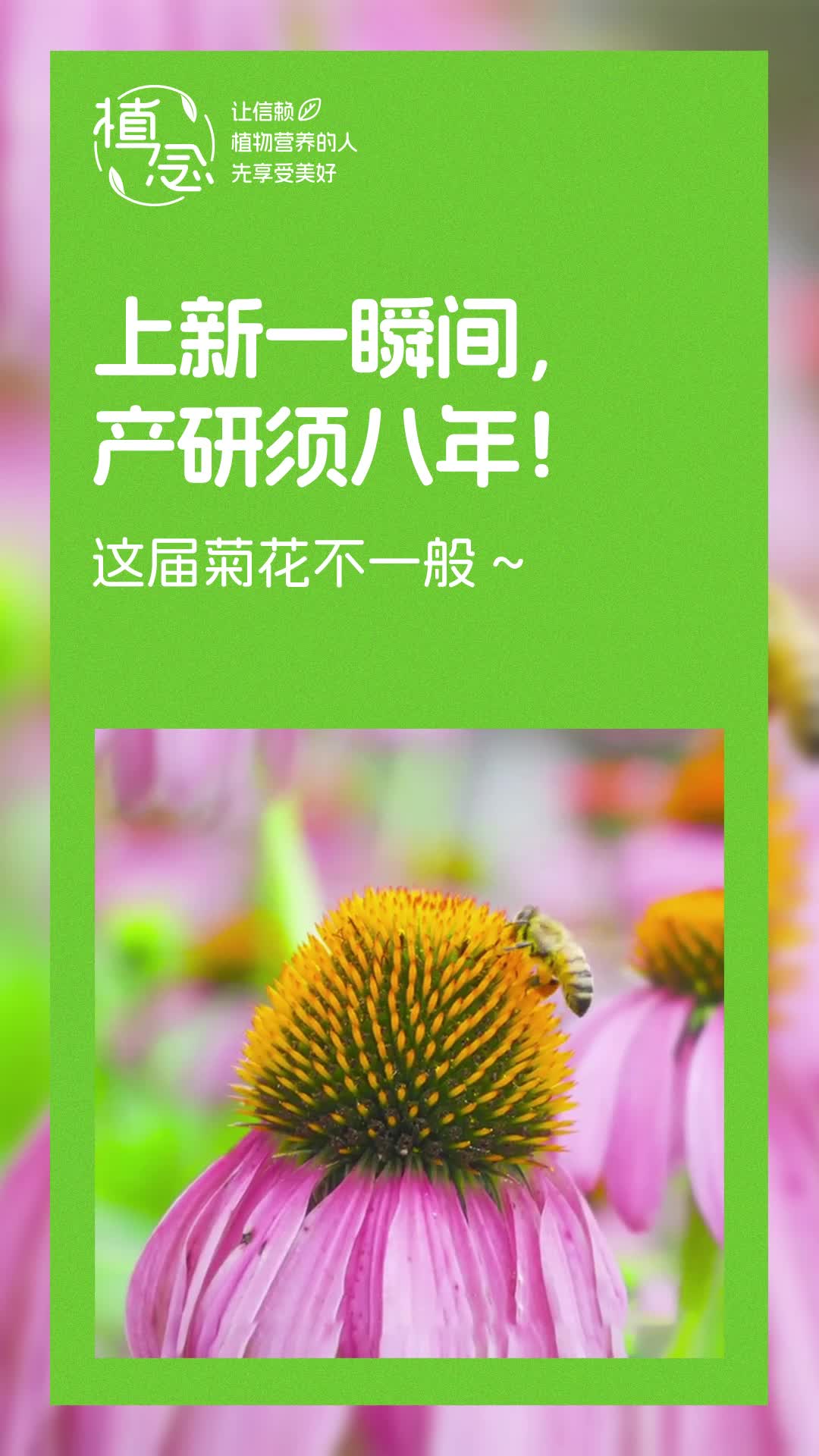 Amway, 安利