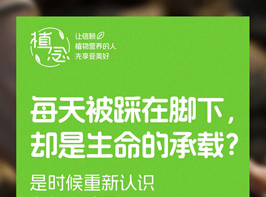Amway, 安利