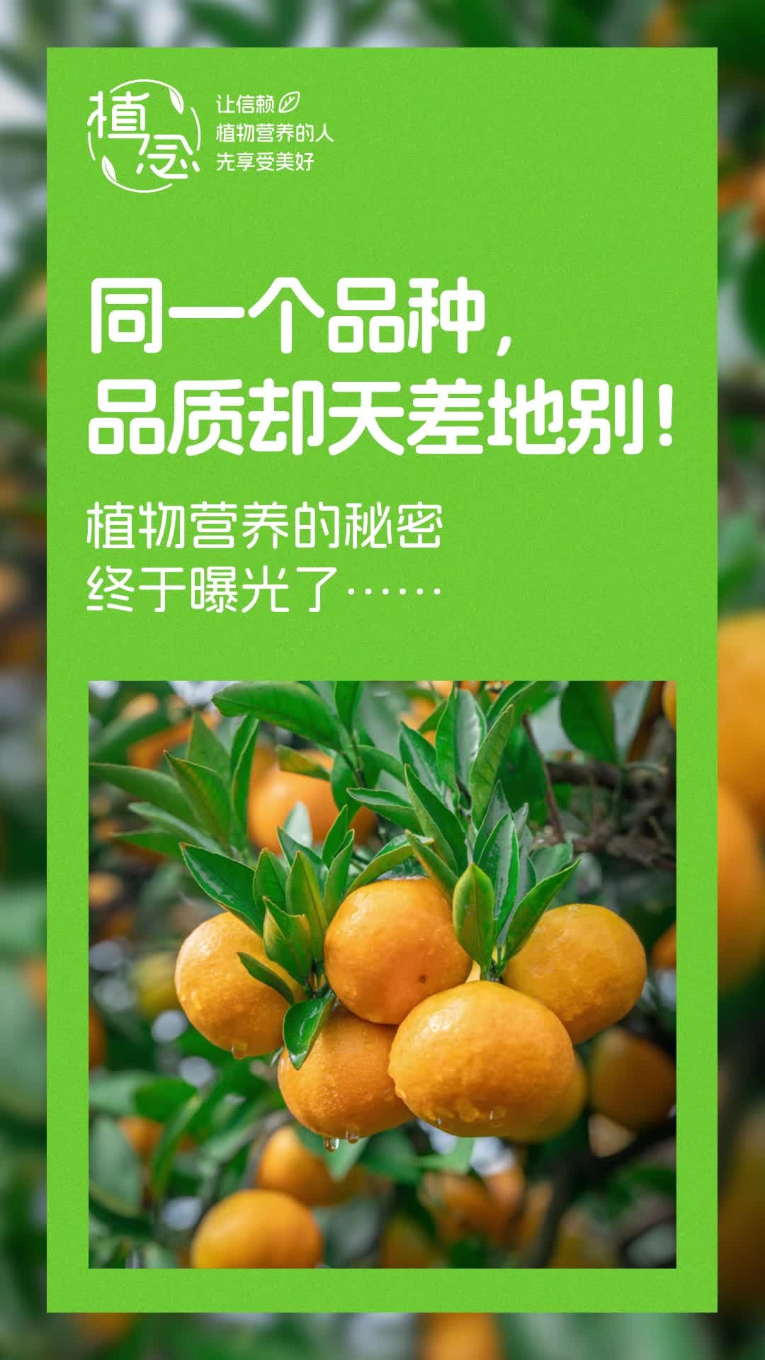 Amway, 安利