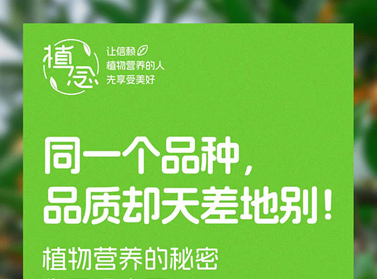Amway, 安利