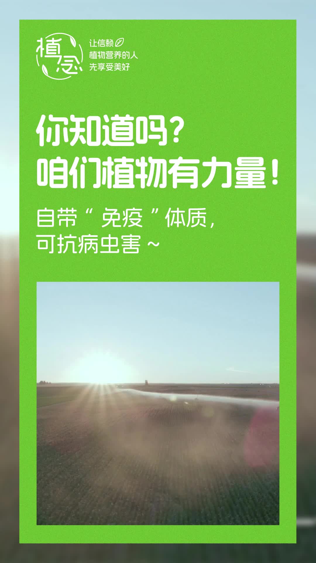 Amway, 安利