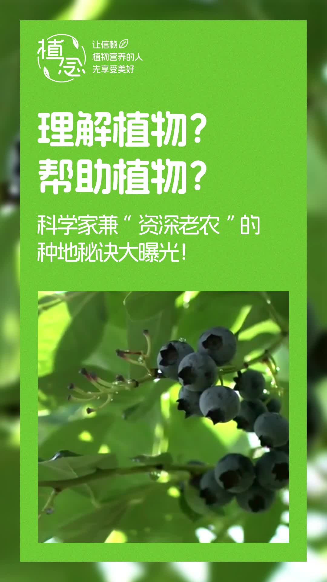 Amway, 安利