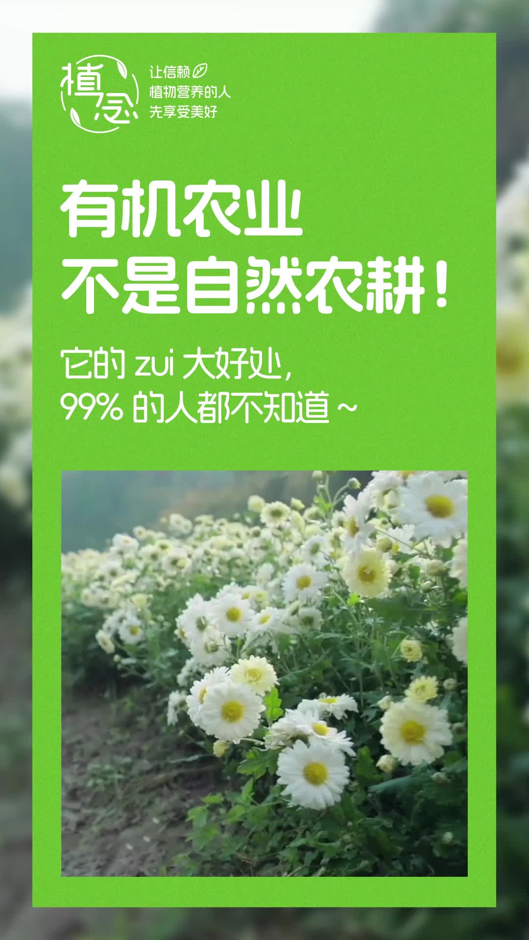 Amway, 安利