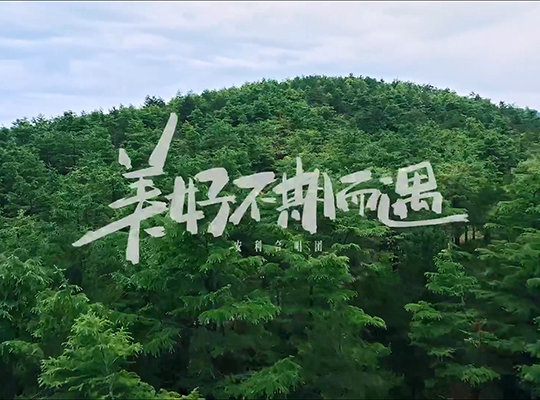 Amway, 安利