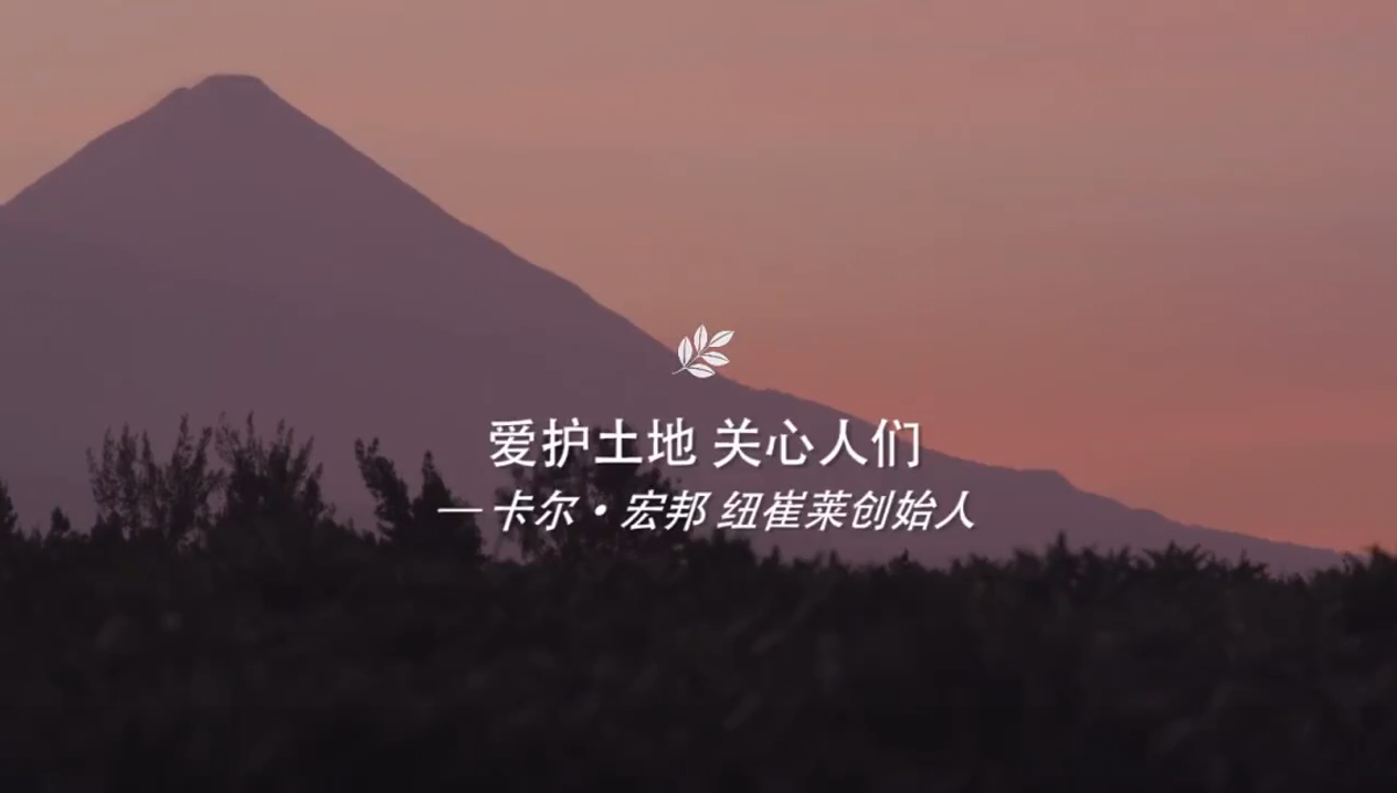 Amway, 安利
