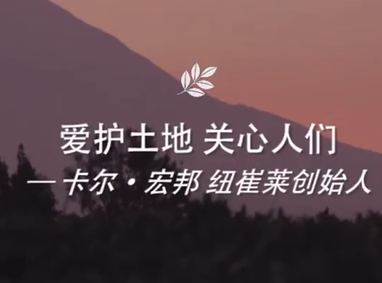 Amway, 安利