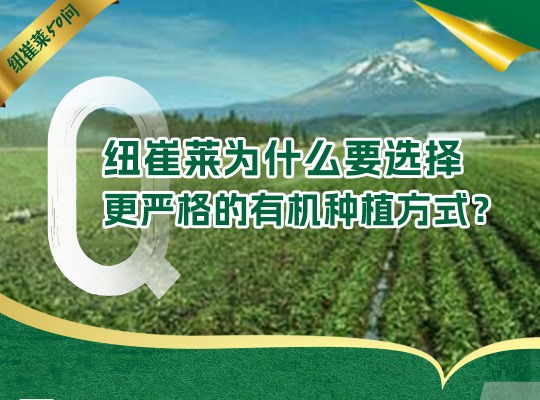 Amway, 安利
