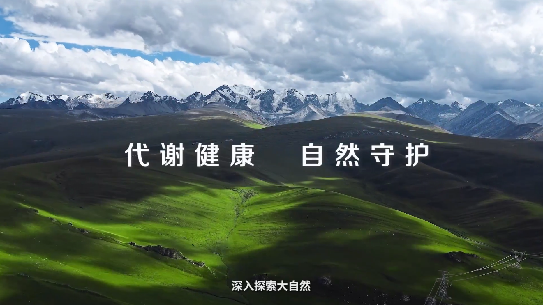 Amway, 安利
