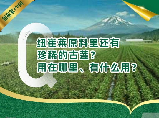 Amway, 安利