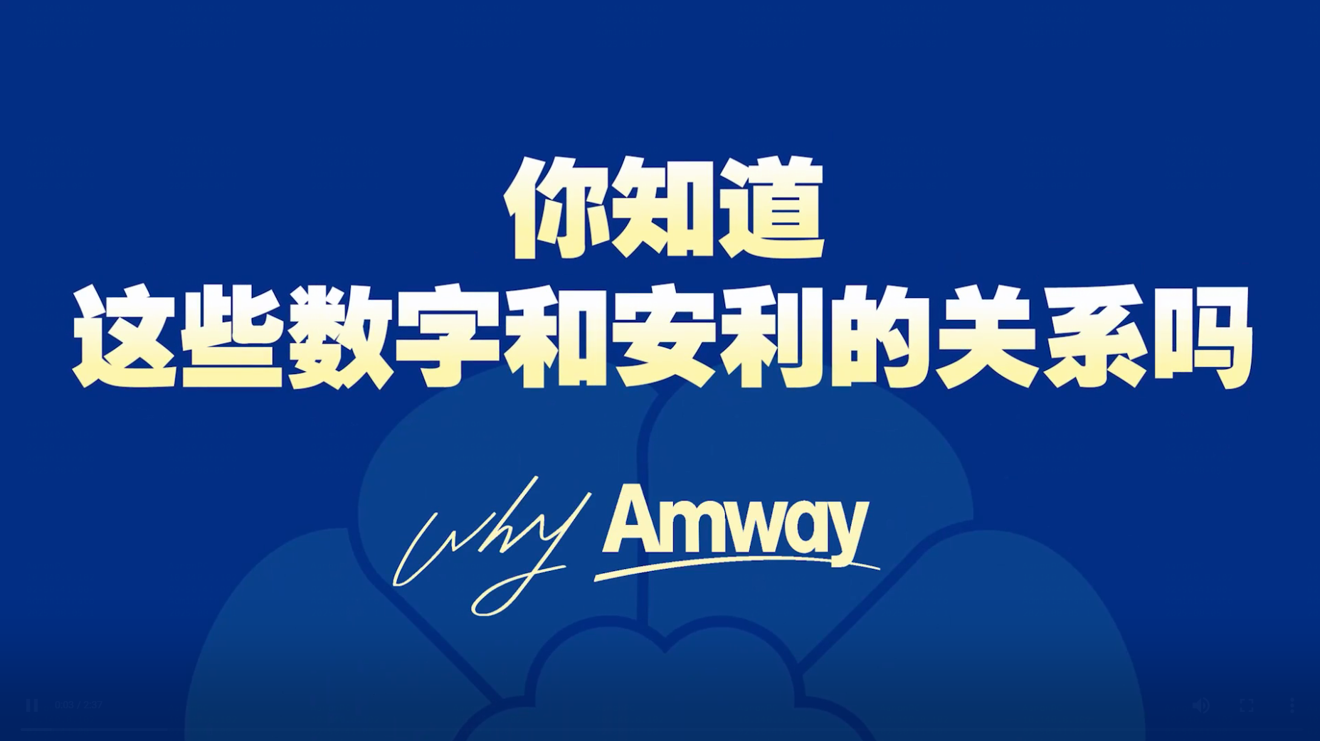 Amway, 安利