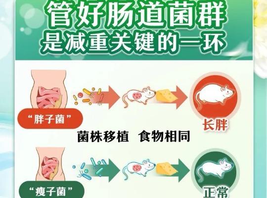 Amway, 安利